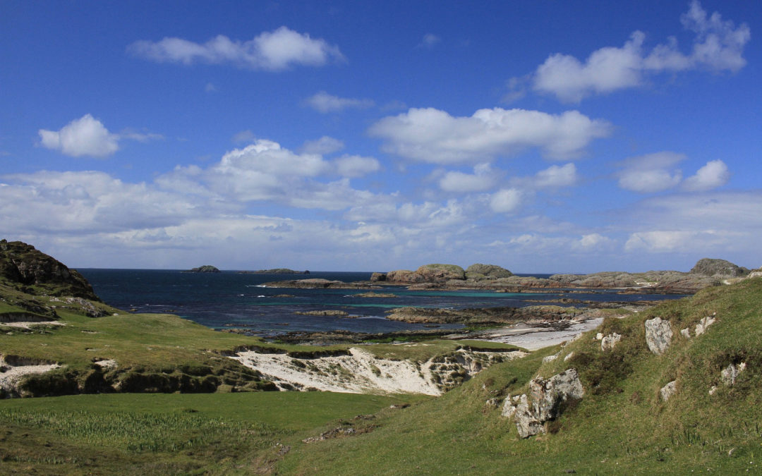 To Be a Pilgrim Shaman