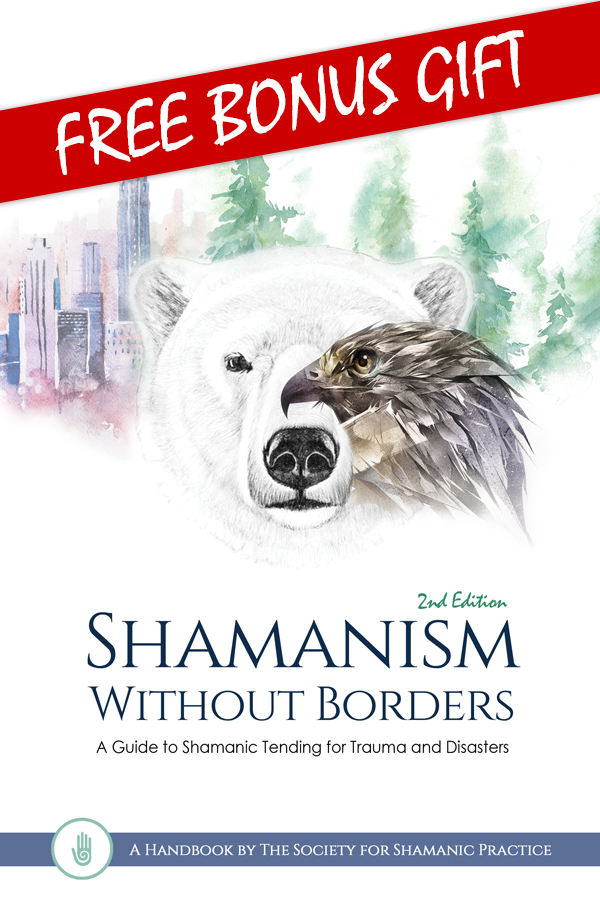 Shamanism Without Borders Book Cover