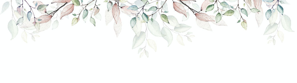 SouthMedicineWheel Image 1000x280