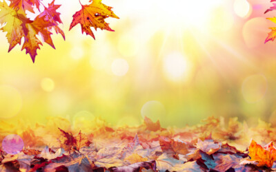 Fall Equinox Medicine Wheel Ceremony 2025