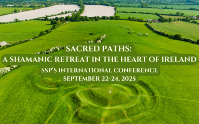 Photos from the 2025 SSP Ireland Conference