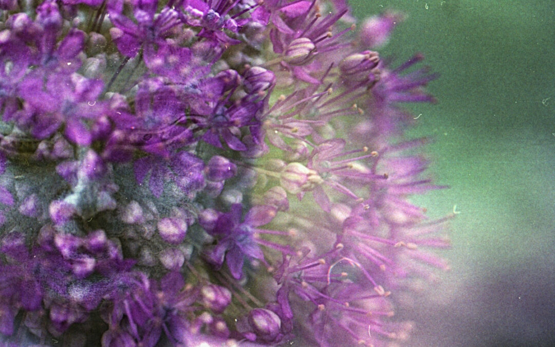 Land Spirits and Spirits of Place