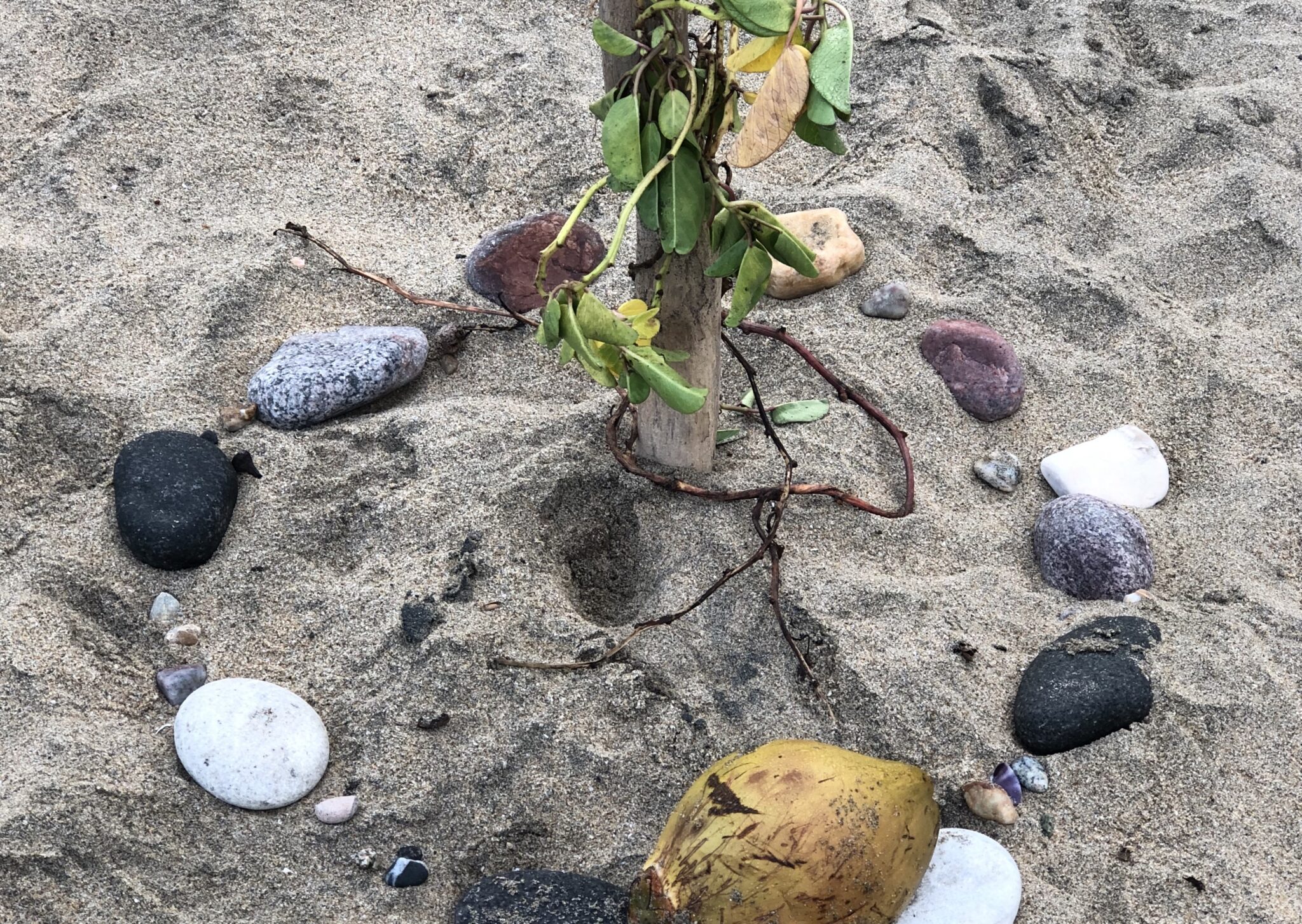 beach-altar-for-mexico-pages-2048×1454