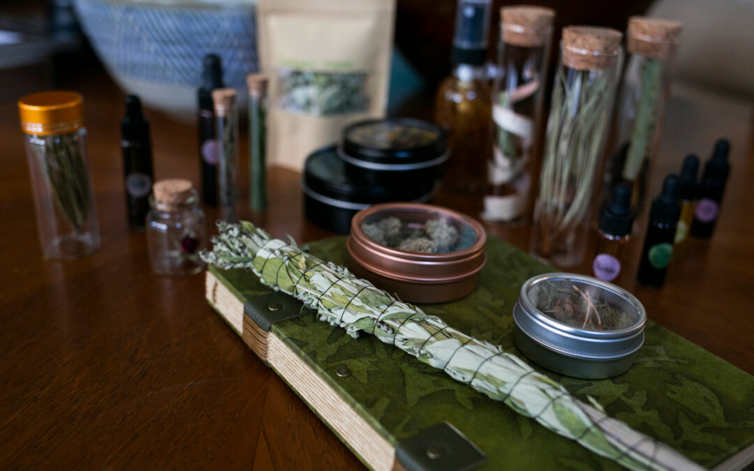 “The Sacredness of Trees”, Plant Spirit Apprenticeship Winter/Spring