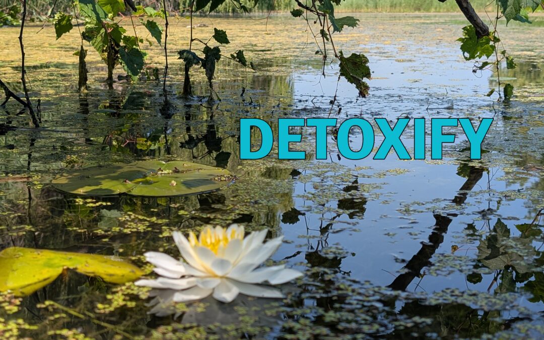 DETOXIFY the Jin Shin Way