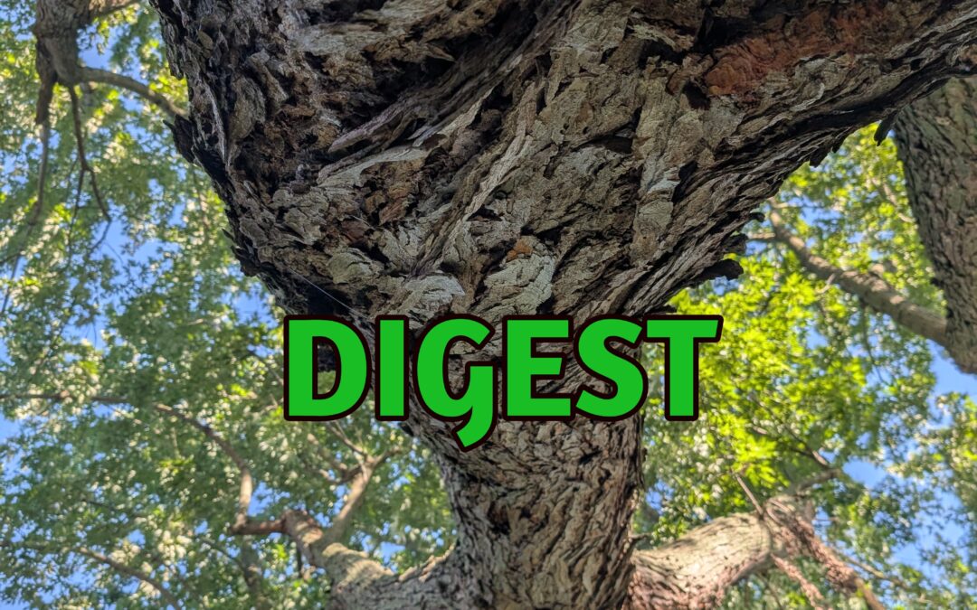 DIGEST & INTEGRATE the Jin Shin Way