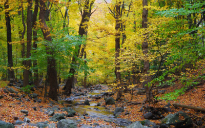 Make Friends with the Land