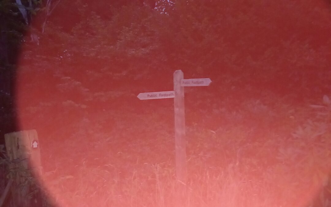 A Quest into the Past, Present & Future Akashic Records