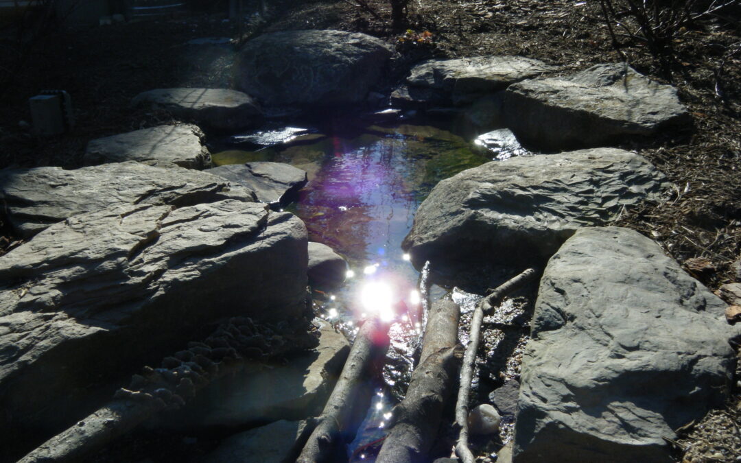 Culture-Nature Repair Sharing Circle