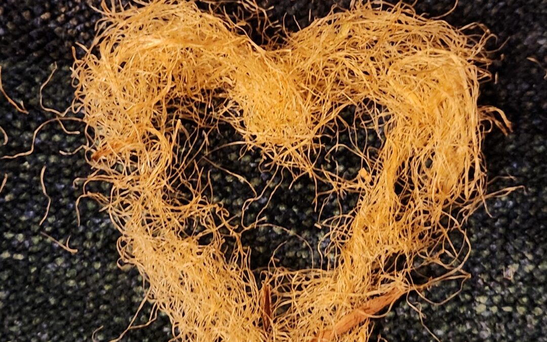 Spirit Release: Psychopomp & Depossession