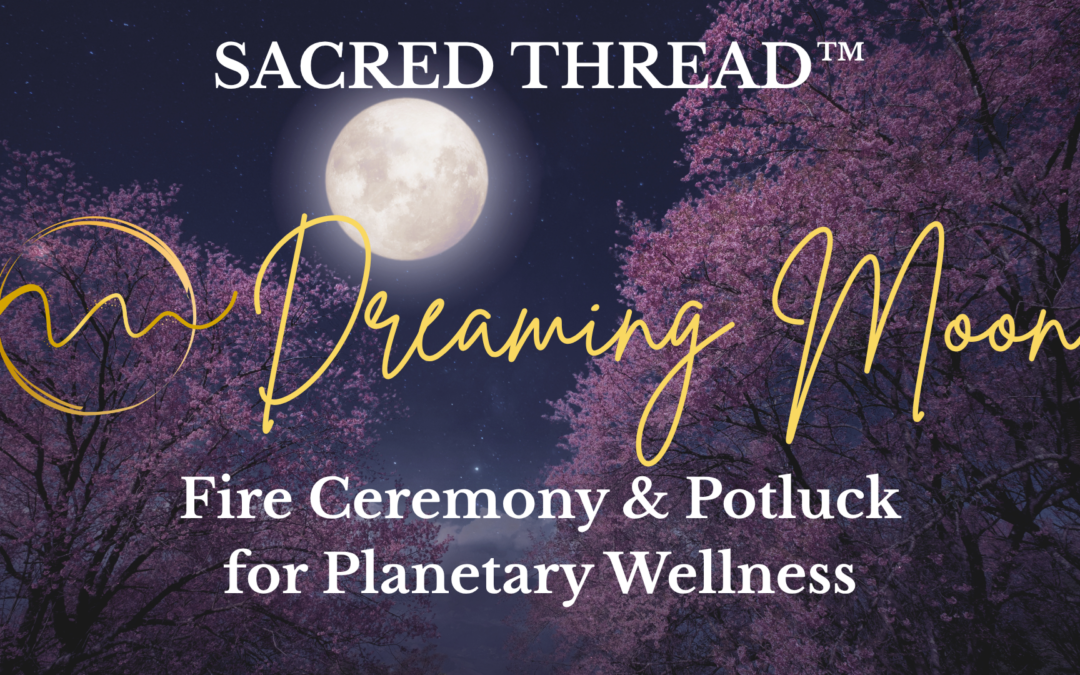 Dreaming Moon Fire Ceremony & Potluck for Planetary Wellness
