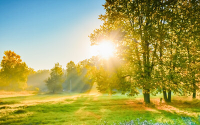 The Sun is Your Best Shamanic Ally
