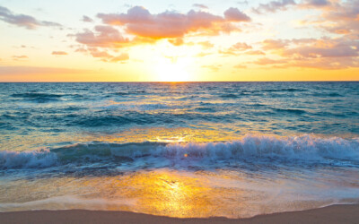 Ocean Ceremony of Flow and Fulfillment