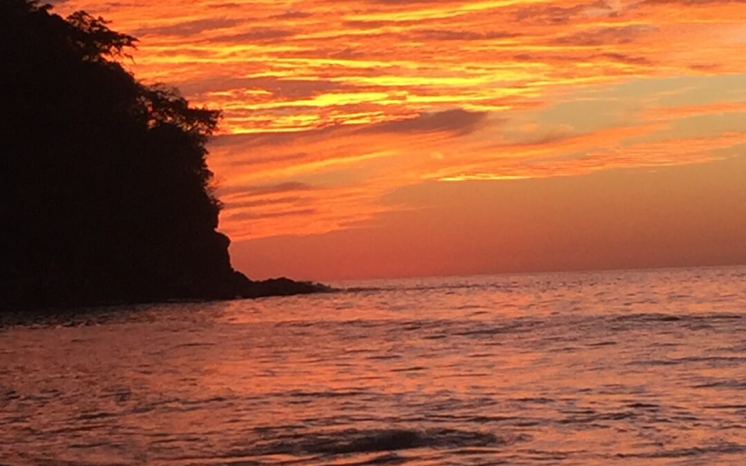 Shamanic Tropical Retreat