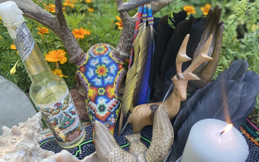Remote Shamanic Healing with Lena