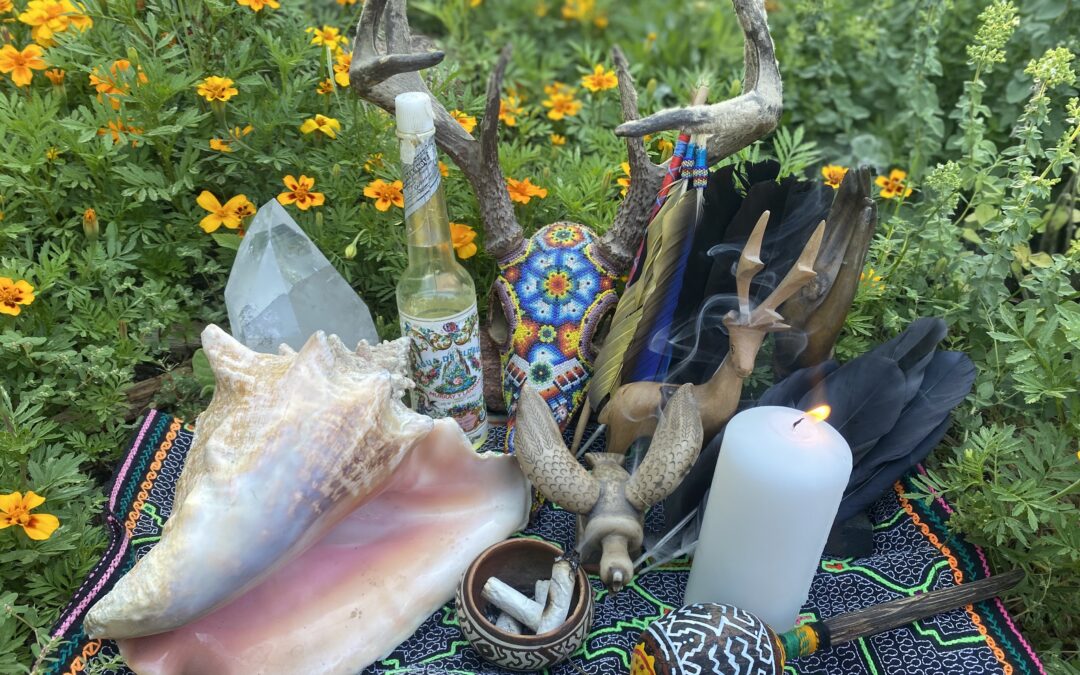 Remote Shamanic Healing with Anna