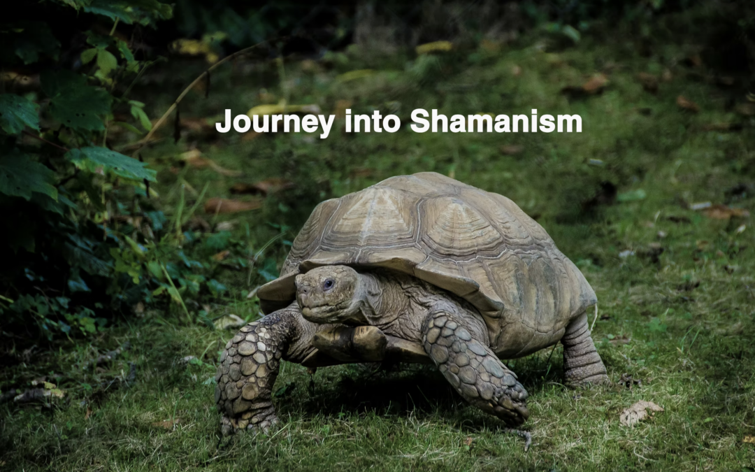 Journey Into Shamanism I