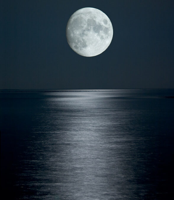 Dreaming Wild with Grandmother Moon